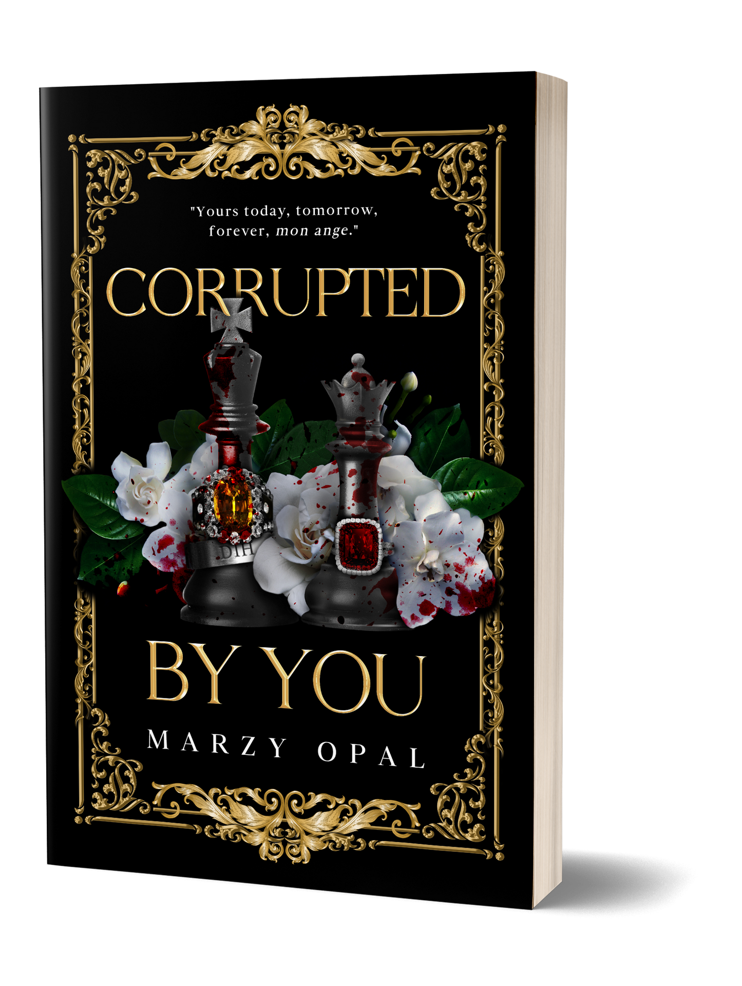 Corrupted By You - Signed Book (Discreet Special Edition)